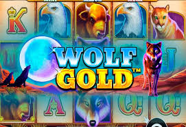 Play Wolf Gold 당신의 운명을 바꿀 슬롯 게임