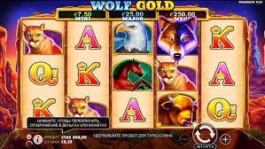 wolf gold free spins no - 완벽한 슬롯 게임 경험 wolf gold free spins no - 완벽한 슬롯 게임 경험